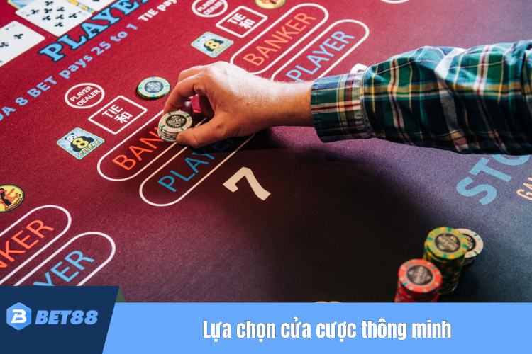 Lựa chọn cửa cược thông minh để chơi