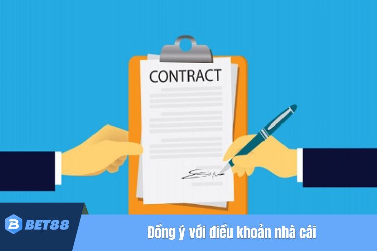 Xác nhận và đồng ý với điều khoản của nhà cái